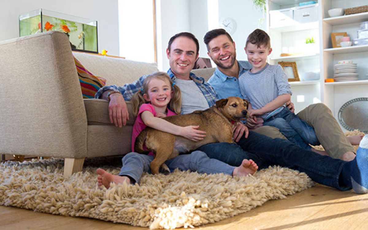 Institut für Beratung und Therapie von Familien und Jugendlichen in Wiesbaden - Arbeitsweise